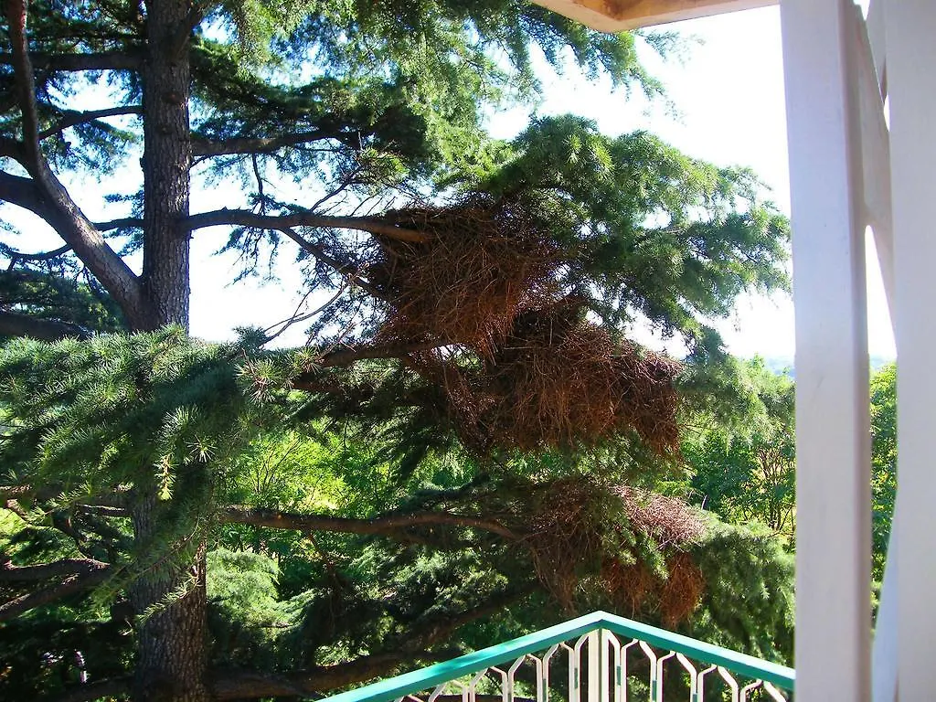 Rome In Green Apartment